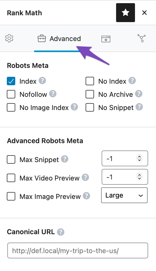 advanced tab راهنمای تنظیمات Canonical با افزونه رنک مث